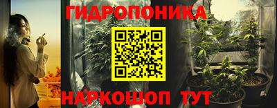 гашик Пыть-Ях