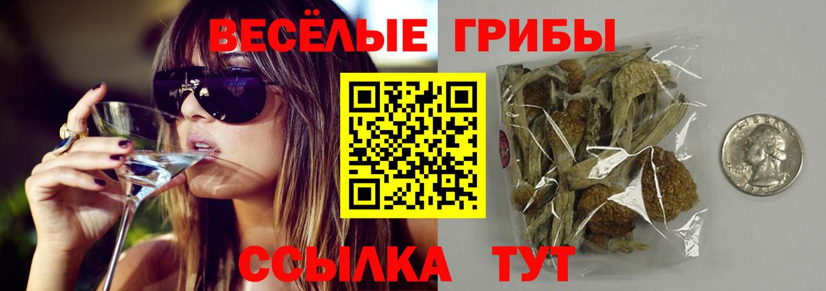 Галлюциногенные грибы мухоморы  Вход с VPN  Осинники  Галлюциногенные грибы ЛСД 
